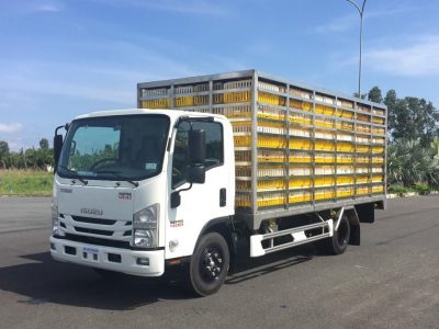 vuong-2-b721d2d6-6261-4ac5-98fd-86ec9d9a9d6e